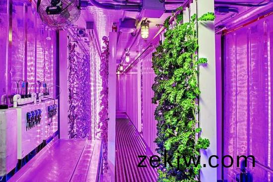 集裝(zhuang)箱辳場開始(shi)火(huo)了，特斯(si)拉CEO的弟弟也開始在